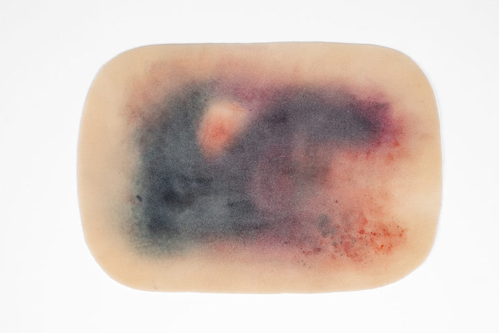 TraumaSim Clinical Various Range (5 wounds)