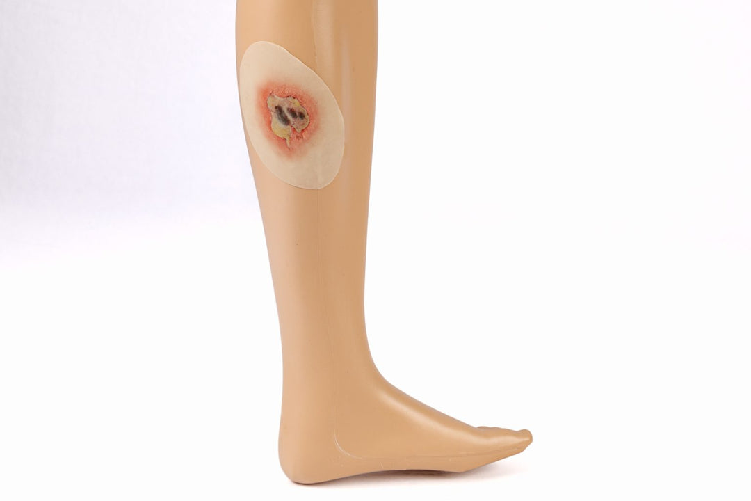 TraumaSim Clinical Various Range (5 wounds)