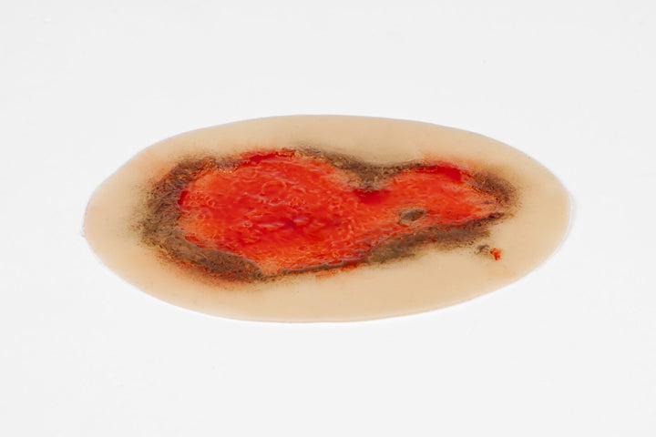 TraumaSim Clinical Various Range (5 wounds)