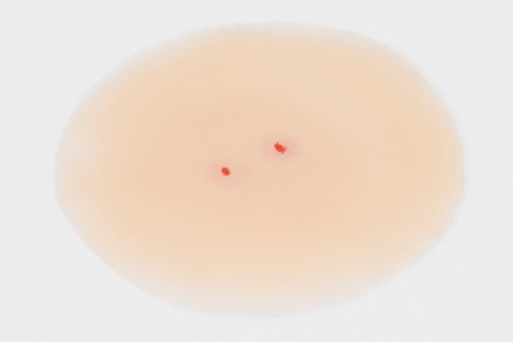 TraumaSim Snake Bite