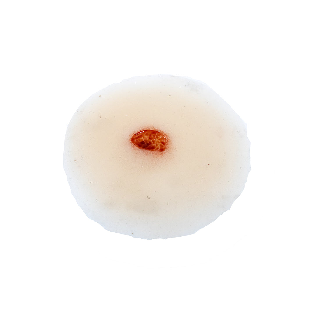 TraumaSim Ulcer - Small