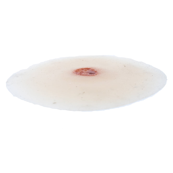 TraumaSim Ulcer - Small