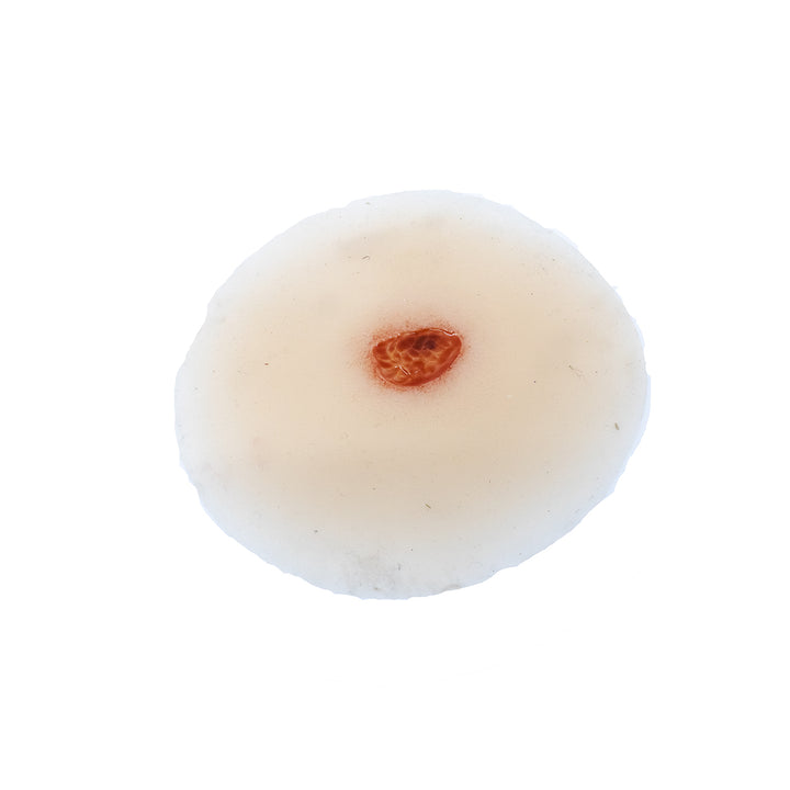 TraumaSim Ulcer - Small